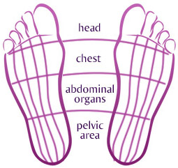 About Reflexology. zones